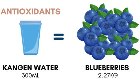 One 300ml Cup of Kangen Water has the same amount of antioxidants as 2.27kg of 
                                    blueberries